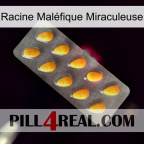 Racine Maléfique Miraculeuse cialis1